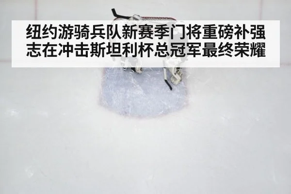 纽约游骑兵队新赛季门将重磅补强志在冲击斯坦利杯总冠军最终荣耀