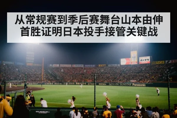 baseball stadium night game